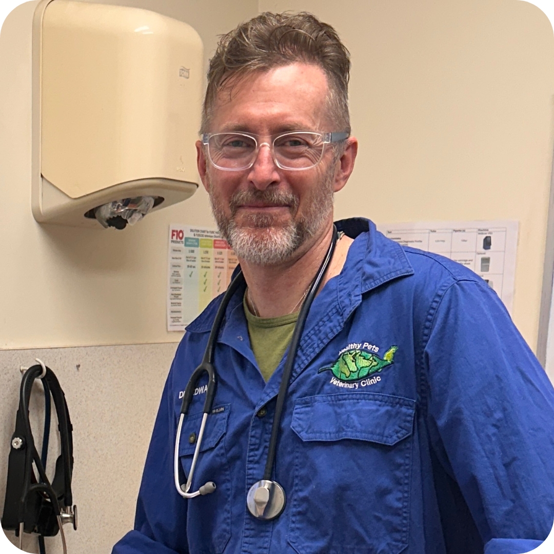 12 - Castlemaine Vet Clinic