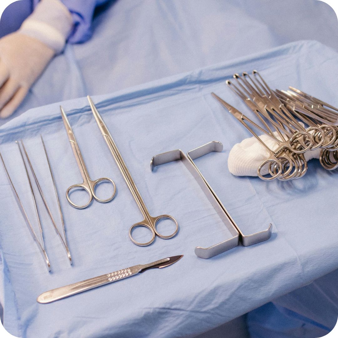 2 - Castlemaine Vet Clinic