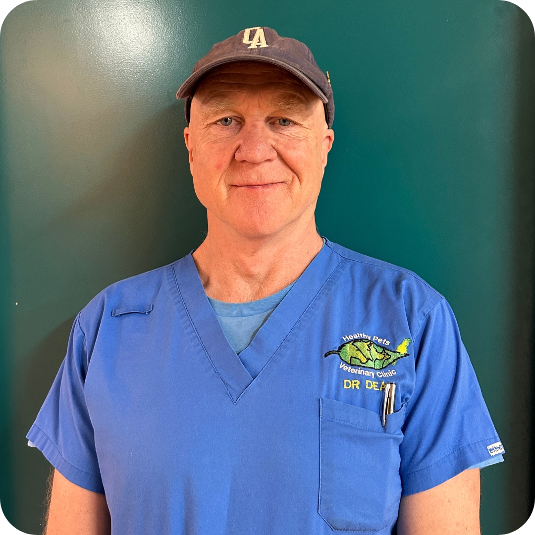 9 - Castlemaine Vet Clinic