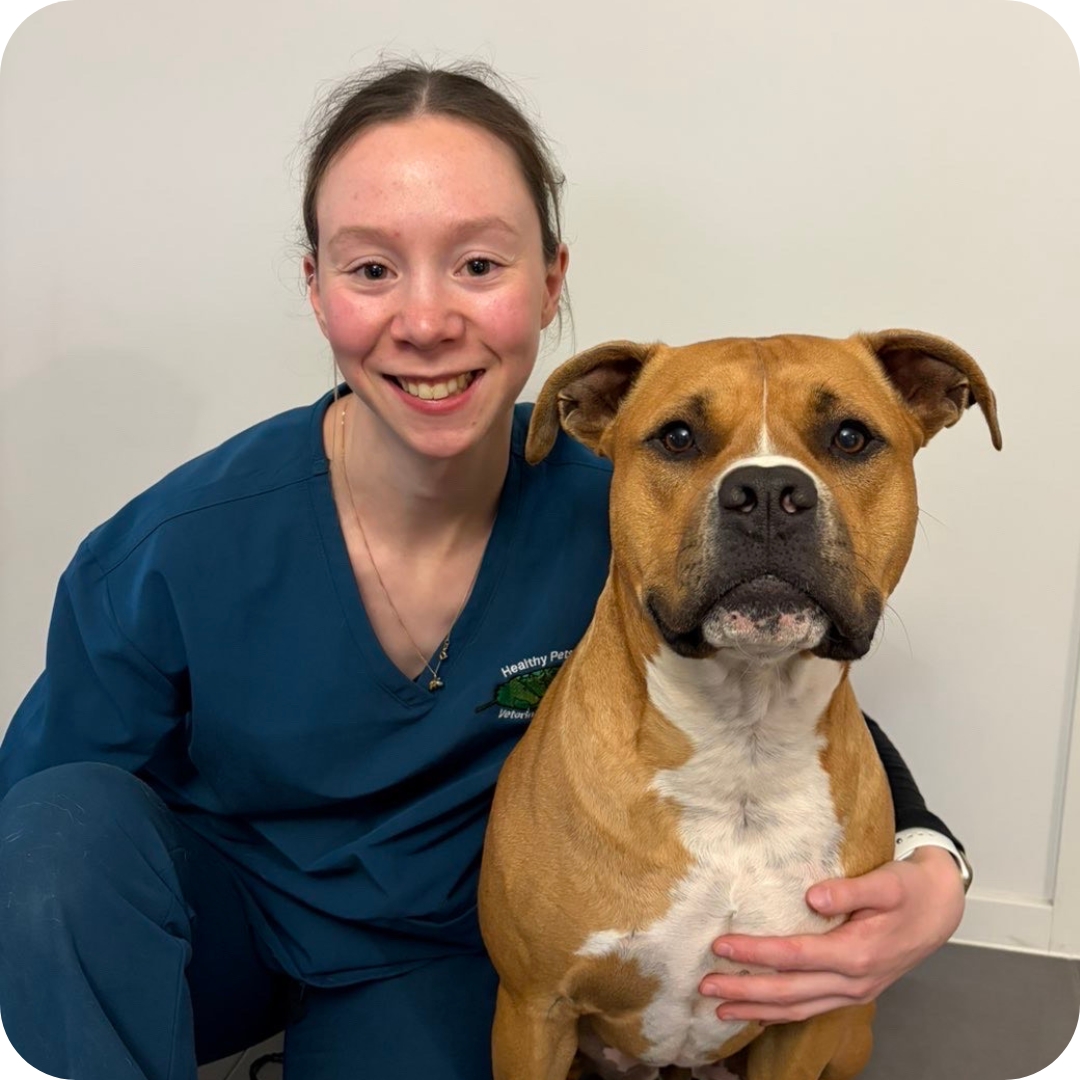 14 - Castlemaine Vet Clinic