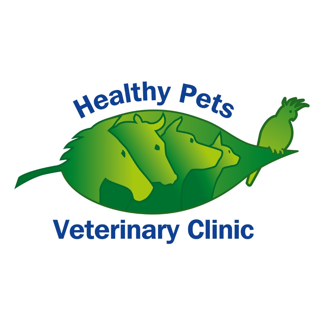 15 - Castlemaine Vet Clinic