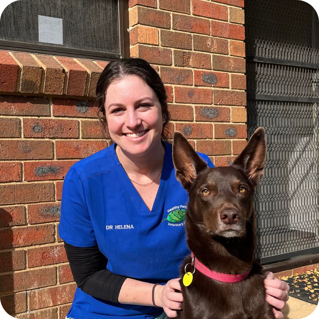 Untitled design 75 - Castlemaine Vet Clinic